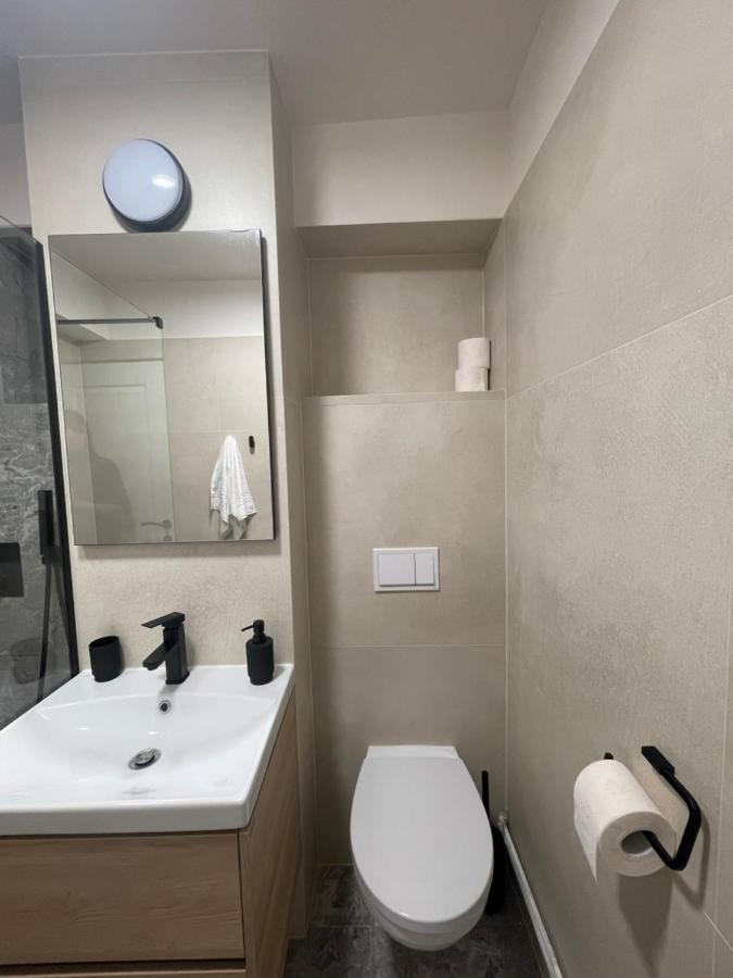 Apartament Mony Timisoara Exterior foto