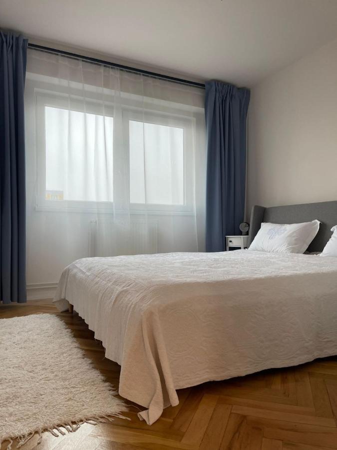 Apartament Mony Timisoara Exterior foto